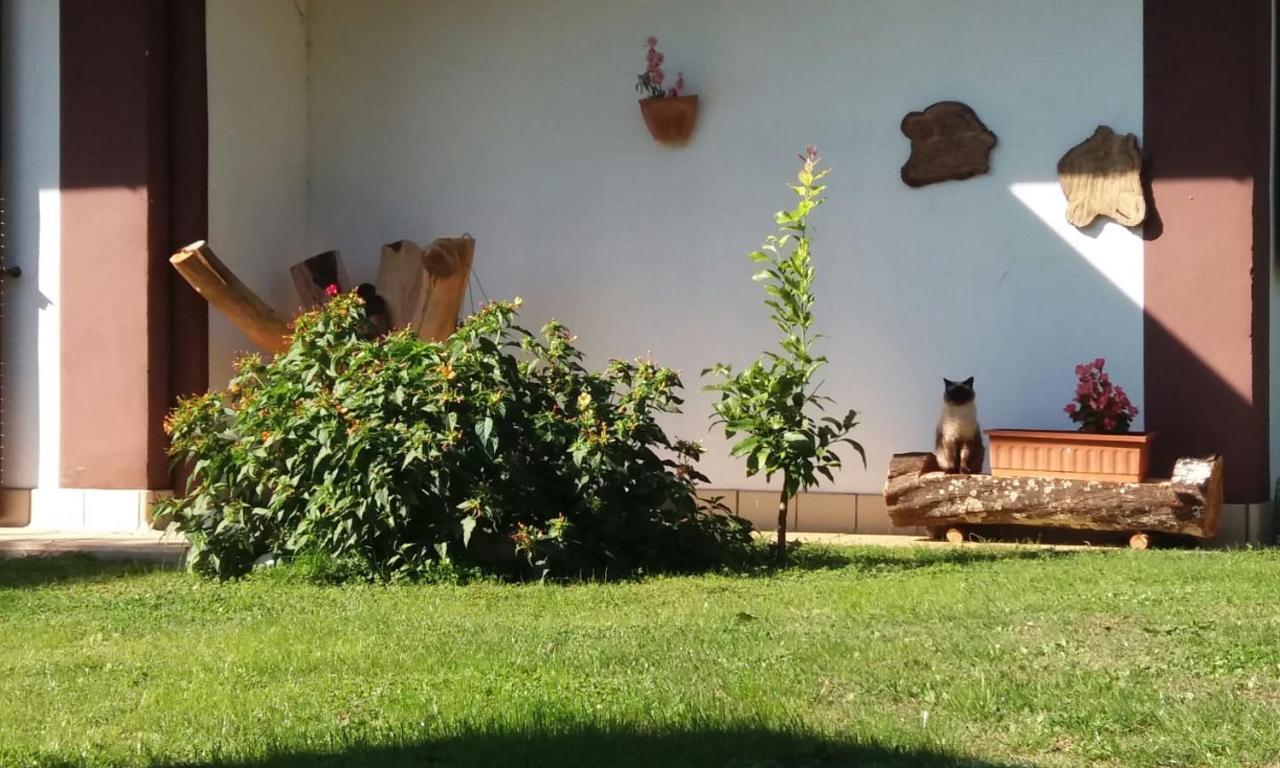 Casetta In Collina Sezze 外观 照片